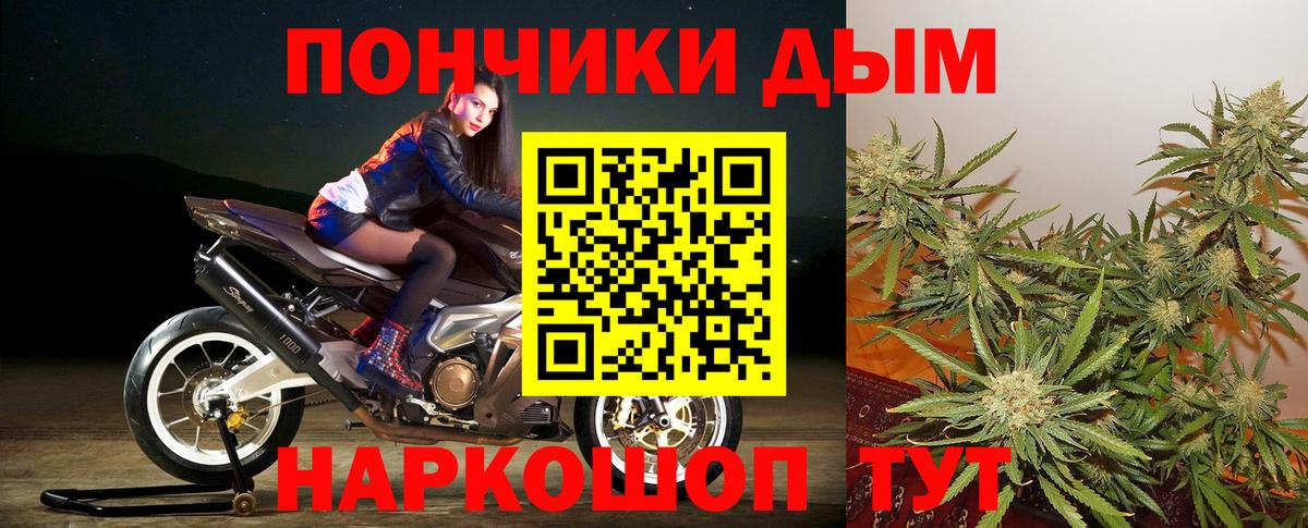 Каннабис конопля Россия